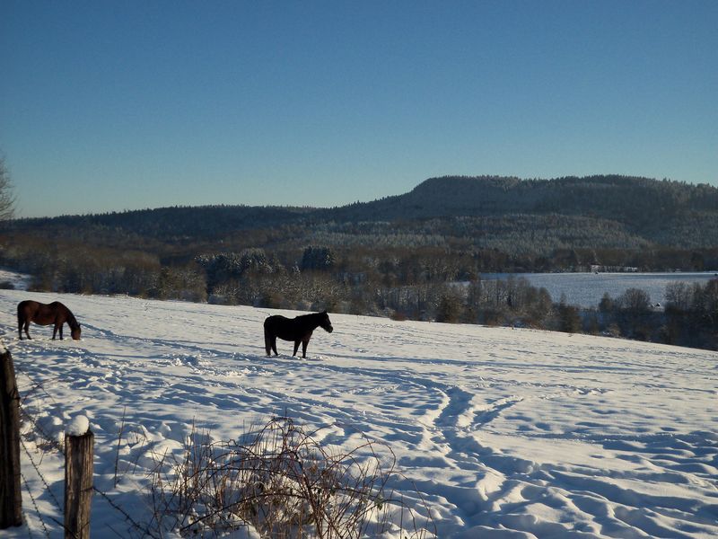 Vue du Champ Enneig� depuis Chalet (View of the Field around the Chalet)